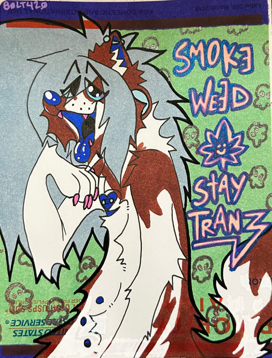 “Stay Tranz” | Random Colored Standard Slap
