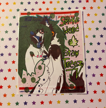 “Stay Tranz” | Random Colored Standard Slap